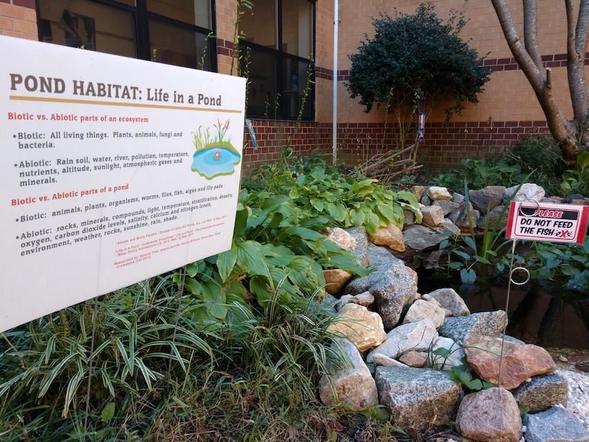 pond habitat sign leesville middle 