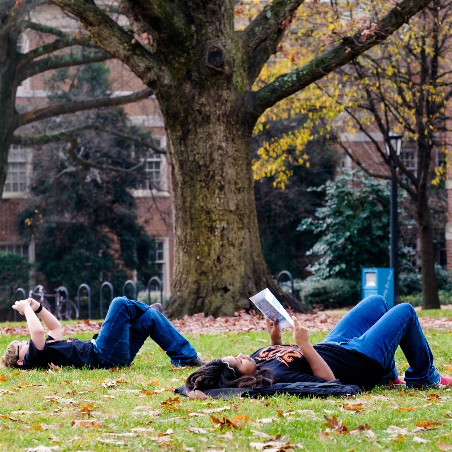  Photo of students reading in the grass under a large tree.