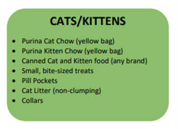 cats
