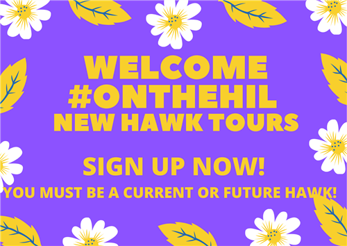 NewTours
