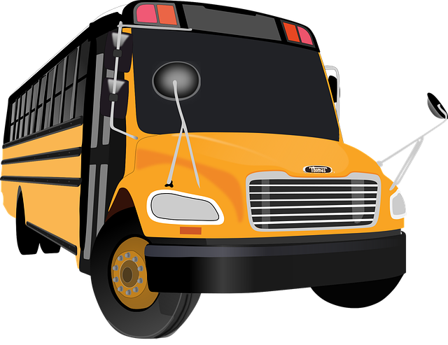  school bus