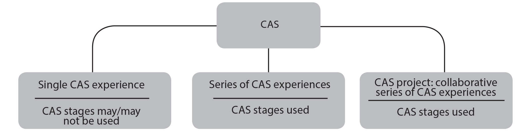 CAS experiences and stages 