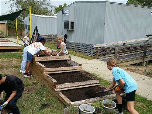 Learning Garden 