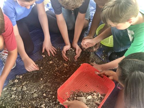 Students digging for fossils 