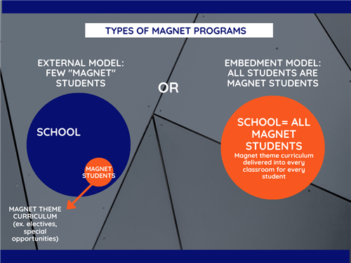 Types of Magnet Programs 