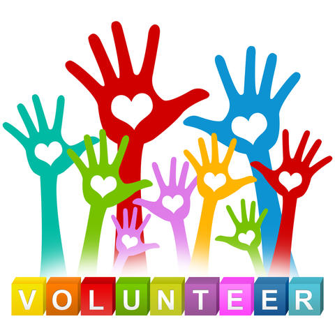  volunteer