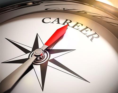 Career 