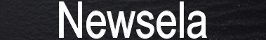 Newsela 