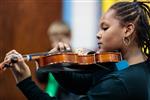 violin 