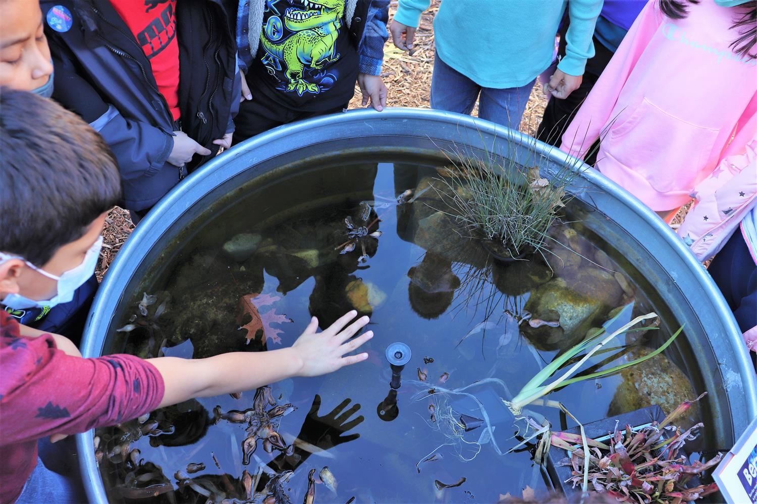 students at nature pool at millbrook