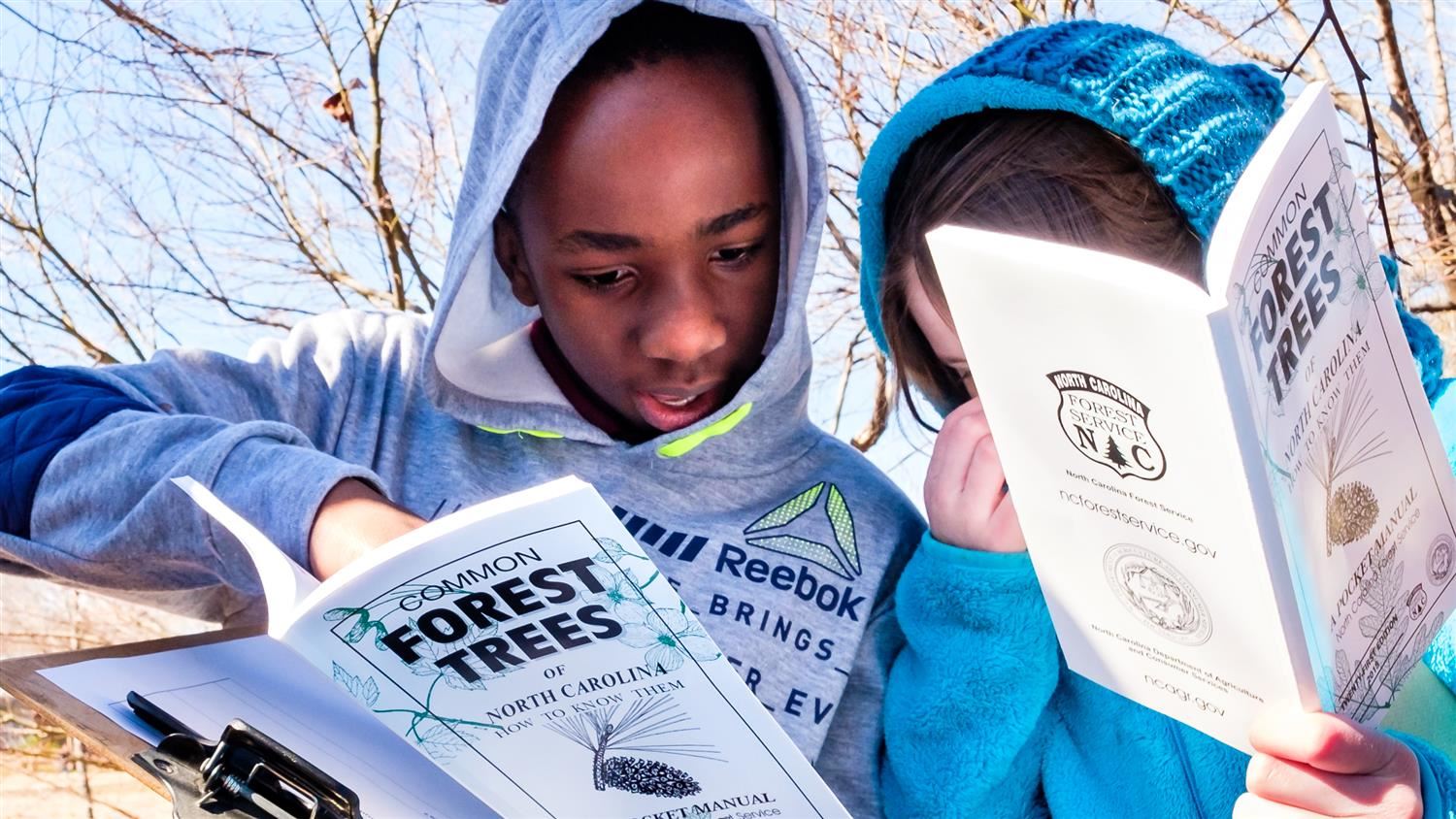Students collaborate to determine the identity of a tree on the campus of Millbrook Magnet Elementary School.  