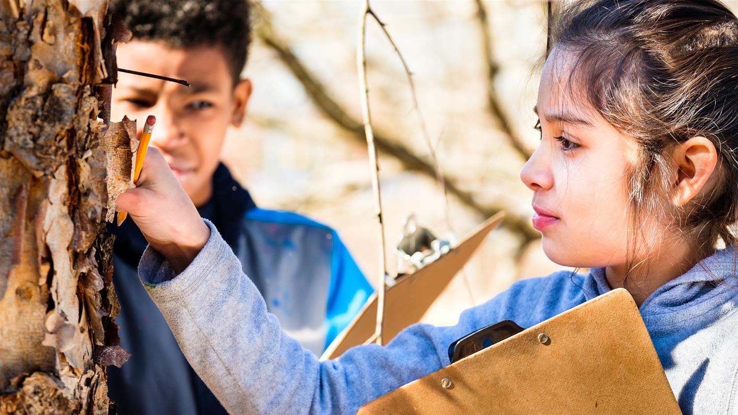 A student at Millbrook Magnet Elementary examines tree bark. 