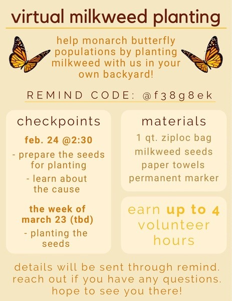 Milkweed Milkweed