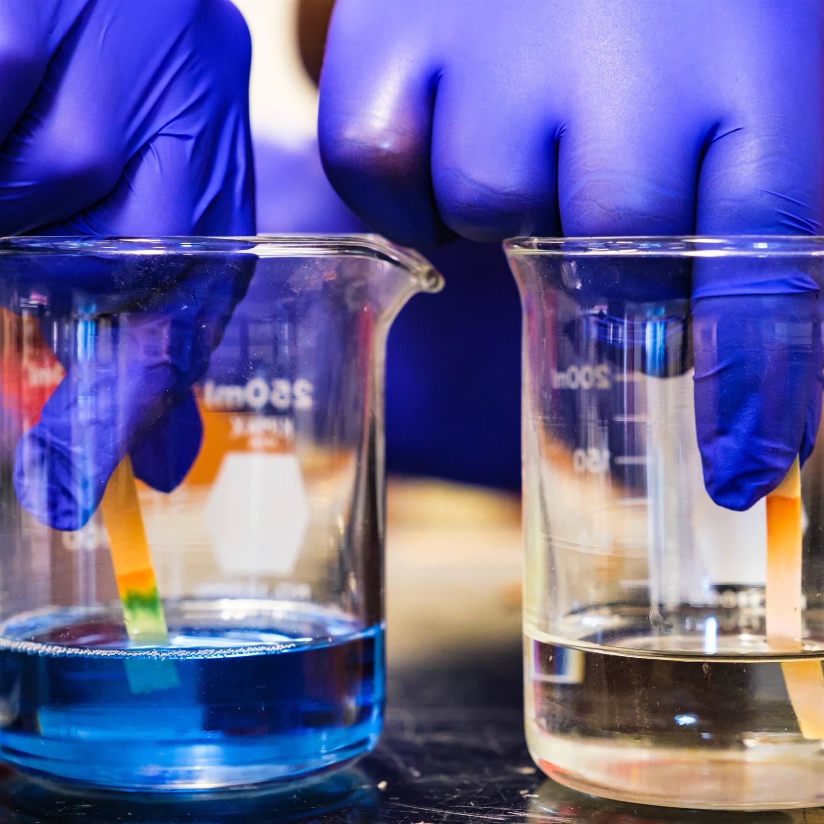 Science Fair