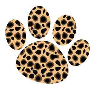 Leopard Paw Leopard Paw