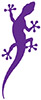 wcpssLogo